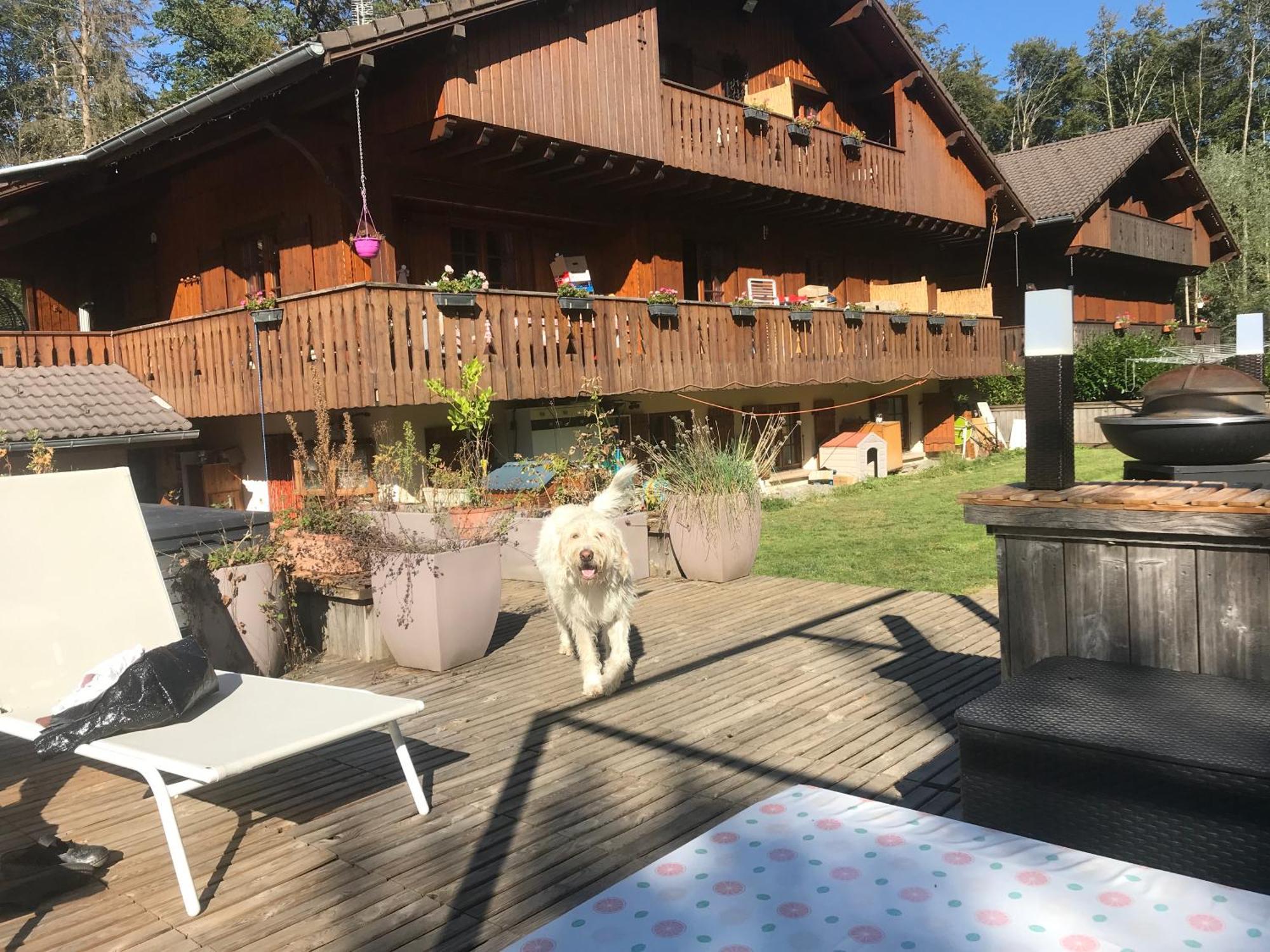 מוריון Chalet Esprit מראה חיצוני תמונה